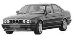 BMW E34 B3495 Fault Code